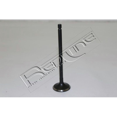 Einlassventil Red-line 15HY032 für Hyundai