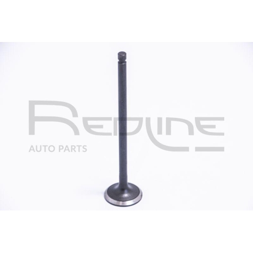 Auslassventil Red-line 15HY033 f&uuml;r Hyundai