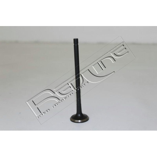 Auslassventil Red-line 15HY036 f&uuml;r Hyundai