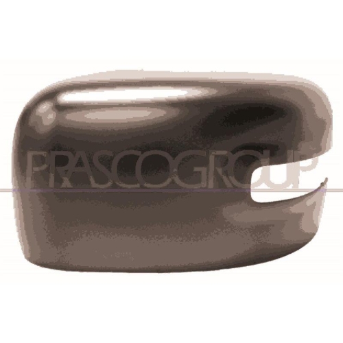 Abdeckung Au&szlig;enspiegel Prasco JE1007404 f&uuml;r Jeep Links