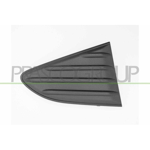 Zier /schutzleiste Sto&szlig;f&auml;nger Prasco TY3302153 f&uuml;r Toyota Hinten Rechts