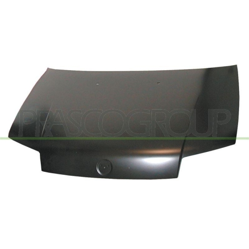 Motorhaube Prasco FT1333100 f&uuml;r Fiat