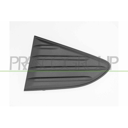 Zier /schutzleiste Sto&szlig;f&auml;nger Prasco TY3302154 f&uuml;r Toyota Hinten Links