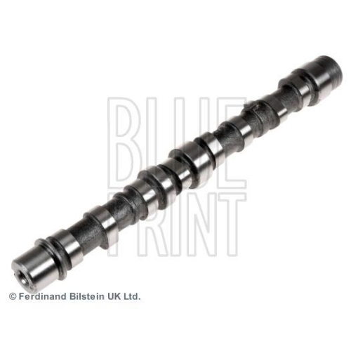 Nockenwelle Blue Print ADK86106 f&uuml;r Alfa Romeo Fiat Ford Lancia Opel Subaru