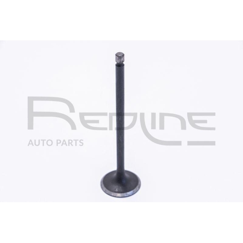 Einlassventil Red-line 15MZ006 für Ford