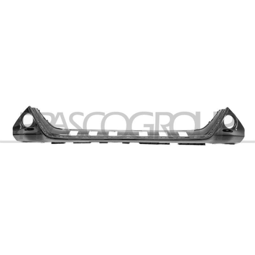 Zier /schutzleiste Sto&szlig;f&auml;nger Prasco TY2081245 f&uuml;r Toyota Vorne