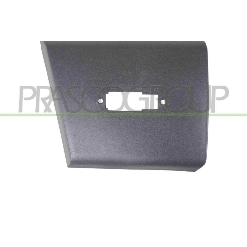 Zier /schutzleiste T&uuml;r Prasco FT9321415 f&uuml;r Fiat Vorne Rechts
