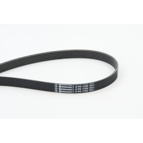Keilrippenriemen Continental Ctam 6PK1795 f&uuml;r Alfa Romeo Bmw Fiat Ford Nissan