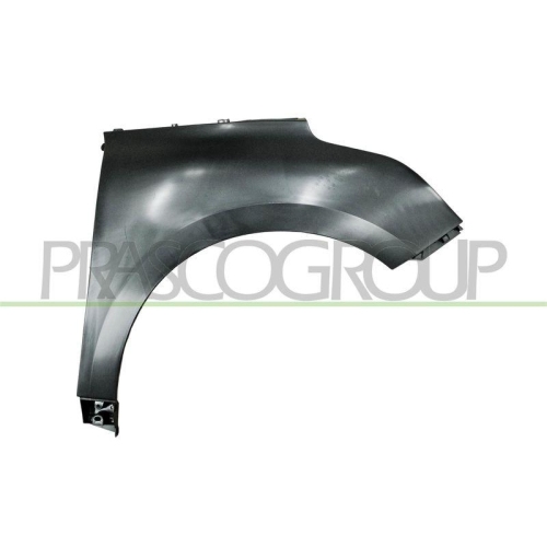 Kotfl&uuml;gel Prasco RN6523004 f&uuml;r Renault Vorne Links
