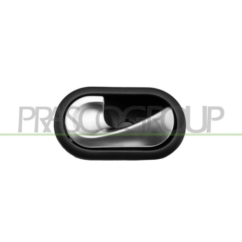 T&uuml;rgriff Innenausstattung Prasco RN0348412 f&uuml;r Renault Vorne Links