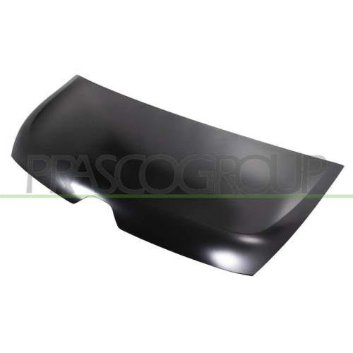 Motorhaube Prasco RN9563100 für Renault