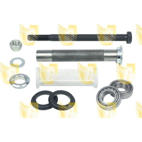 Reparatursatz Lenker Unigom 392048K f&uuml;r Fiat Hinterachse Beidseitig