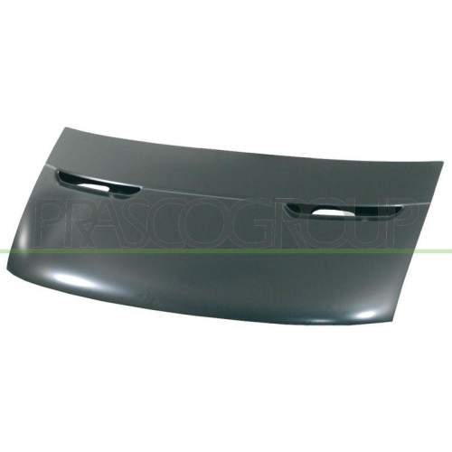 Motorhaube Prasco FT9263100 f&uuml;r Fiat