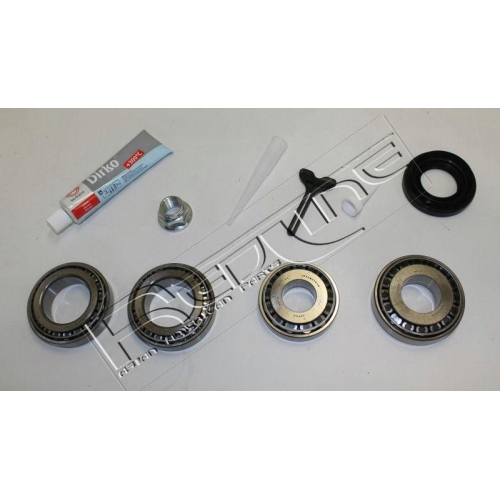 Reparatursatz Differential Red-line 74SZ001 für Vorne Und Hinten