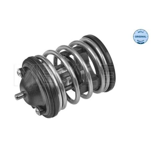 Thermostat K&uuml;hlmittel Meyle 3282280010 Meyle-original: True To Oe. f&uuml;r Bmw Mini
