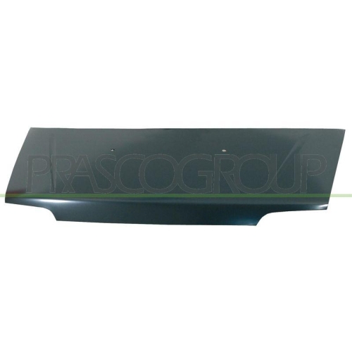 Motorhaube Prasco FT9203100 für Fiat Peugeot