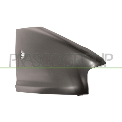 Kotfl&uuml;gel Prasco FT9203013 f&uuml;r Citro&euml;n Fiat Peugeot Vorne Rechts