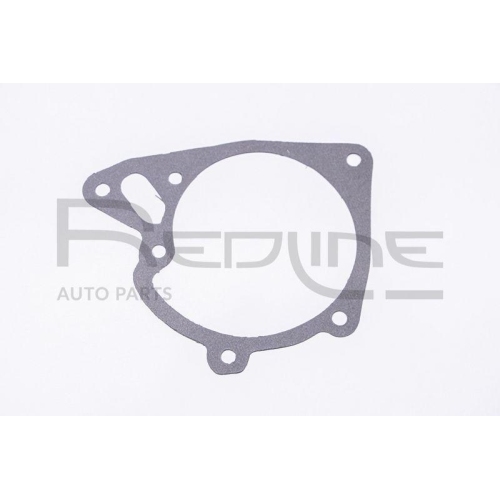 Dichtung Wasserpumpe Red-line 34KI008 f&uuml;r Hyundai
