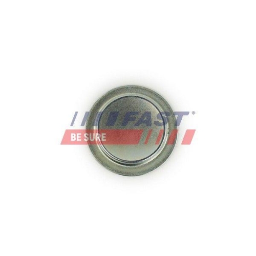 Frost Plug Fast FT49308 for Fiat Lancia