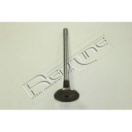 Exhaust Valve Red-line 15IZ011 for Isuzu