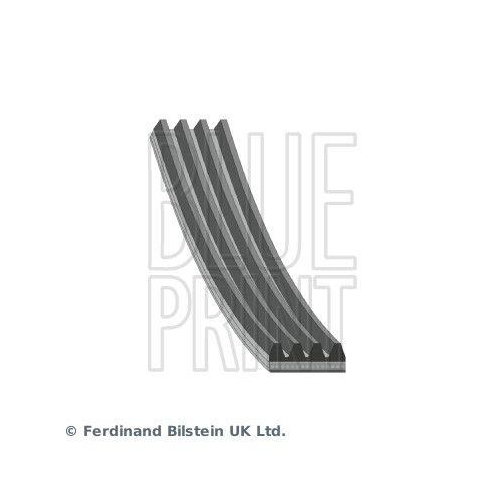 Keilrippenriemen Blue Print AD04R903 f&uuml;r Chrysler Fiat Nissan Subaru Suzuki