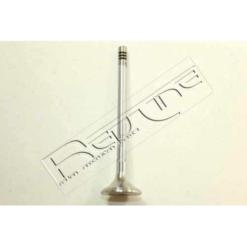 Auslassventil Red-line 15RV013 für Jaguar Citroën/peugeot Land Rover