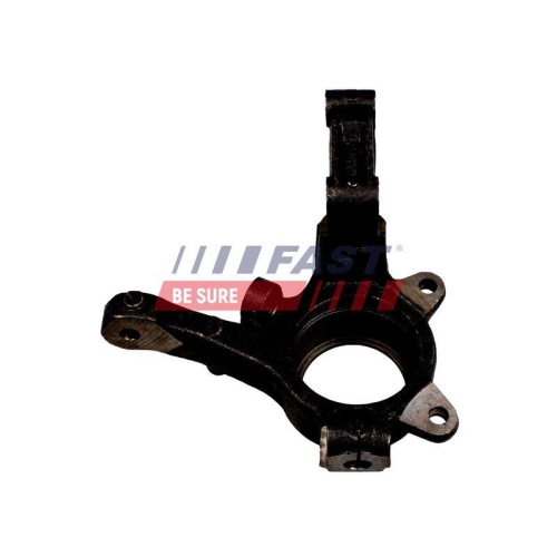 Achsschenkel Radaufh&auml;ngung Fast FT13510 f&uuml;r Fiat Citro&euml;n Peugeot Citro&euml;n/peugeot