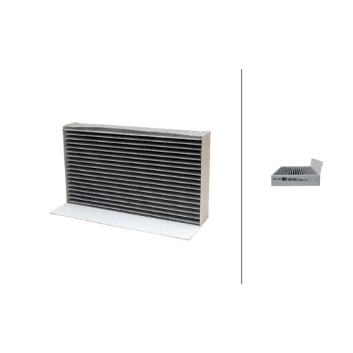 Filter Innenraumluft Hella 8ZC 366 120-611 f&uuml;r Renault