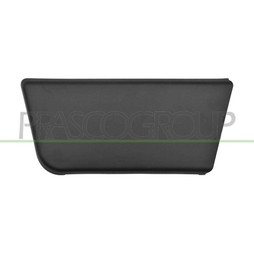 Zier /schutzleiste T&uuml;r Prasco FT9301404 f&uuml;r Citro&euml;n Fiat Peugeot Vorne Links