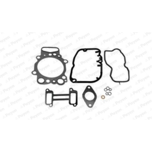 Dichtungssatz Zylinderkopf Payen CH5671 f&uuml;r Scania