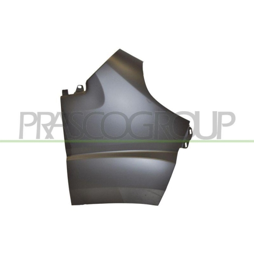 Kotfl&uuml;gel Prasco FT9303014 f&uuml;r Citro&euml;n Fiat Peugeot Vorne Links