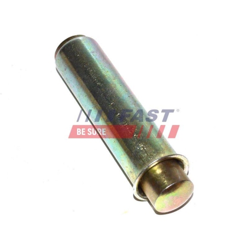 Schwingungsdämpfer Zahnriemen Fast FT44081 für Citroën Fiat Iveco Opel Vauxhall