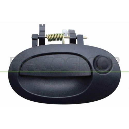 Türaußengriff Prasco DS9178361 für Nissan Fahrzeugheckklappe Außen Hinten