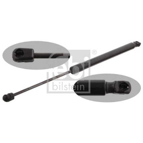 Gasfeder Koffer /laderaum Febi Bilstein 31683 f&uuml;r Audi Beidseitig
