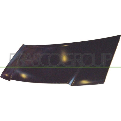 Motorhaube Prasco FT9223100 für Citroën Fiat Peugeot