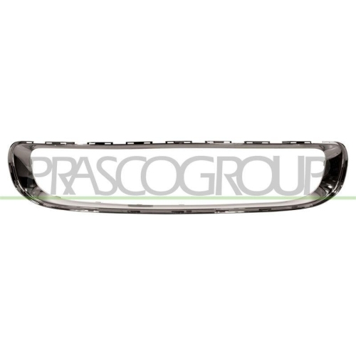 Rahmen Kühlergitter Prasco MN3102305 für Mini