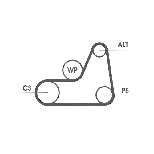 Keilrippenriemensatz Continental Ctam 6PK1042ELASTT1 f&uuml;r Ford