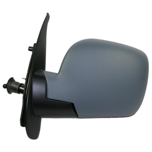 R&Uuml;CKANSICHT KANGOO 2008 MECHANISCH MIT PRIM. RICHTIGE DEPO-MARKE