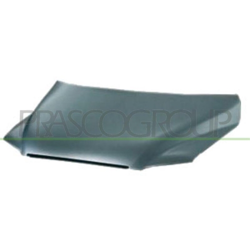Motorhaube Prasco FT7173100 für Fiat