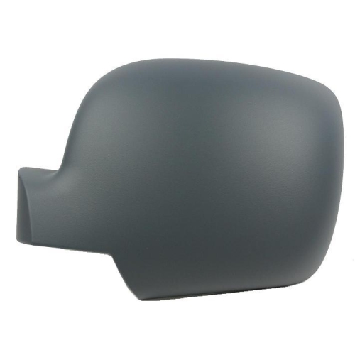 RECHTE SCHALE KANGOO 2008 MIT GRUNDIERUNG RECHTE DEPO-MARKE