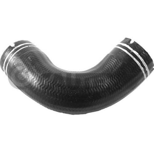 Ladeluftschlauch Cautex 753093 für Alfa Romeo Eingang