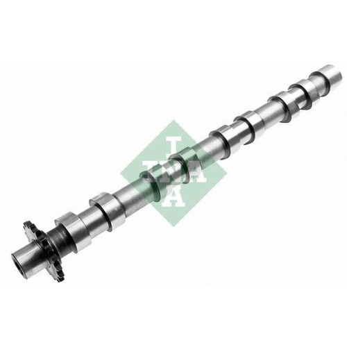 Nockenwelle Schaeffler Ina 428 0160 10 f&uuml;r Citro&euml;n Fiat Ford Peugeot Volvo