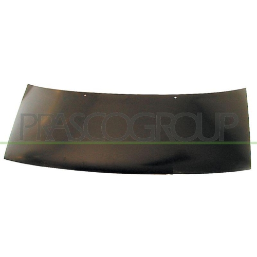 Motorhaube Prasco FT1503100 für Citroën Fiat Peugeot