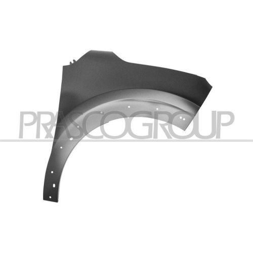 Kotfl&uuml;gel Prasco CI3283013 f&uuml;r Citro&euml;n Vorne Rechts
