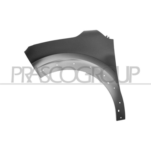 Kotfl&uuml;gel Prasco CI3283014 f&uuml;r Citro&euml;n Vorne Links