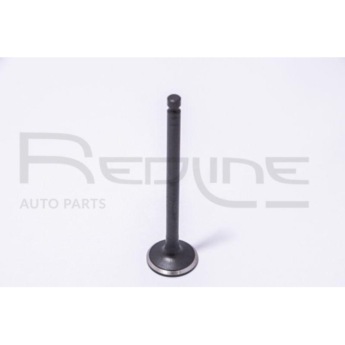 Auslassventil Red-line 15KI017 für Hyundai