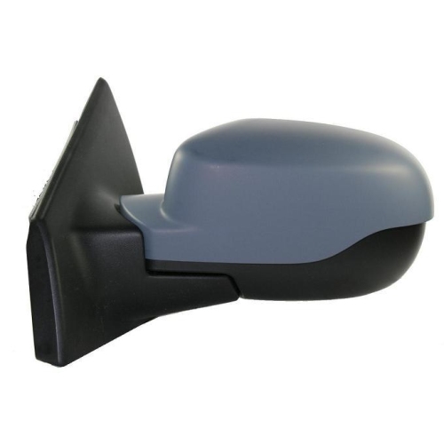 R&Uuml;CKANSICHT CLIO 2009 ELEKTRISCH. BEGRIFF. C/PROBE C/PRIM. 7 PIN RECHTE DEPO