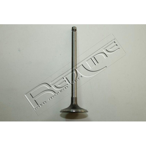 Einlassventil Red-line 15HY027 f&uuml;r Hyundai