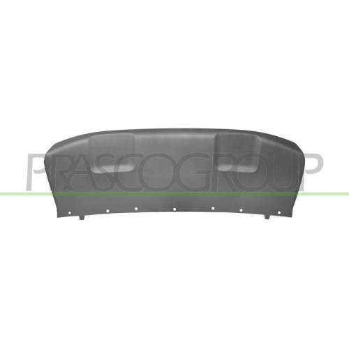 Zier /schutzleiste Sto&szlig;f&auml;nger Prasco FD7521246 f&uuml;r Ford Vorne