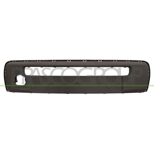 Zier /schutzleiste Sto&szlig;f&auml;nger Prasco CI2061245 f&uuml;r Citro&euml;n Vorne